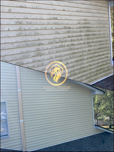 A before and after photo of vinyl siding of a house that was covered with algae and soft washed thereafter. 