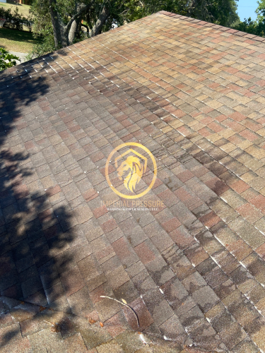 Algae being cleaned off of roof with a low pressure roof cleaning. 